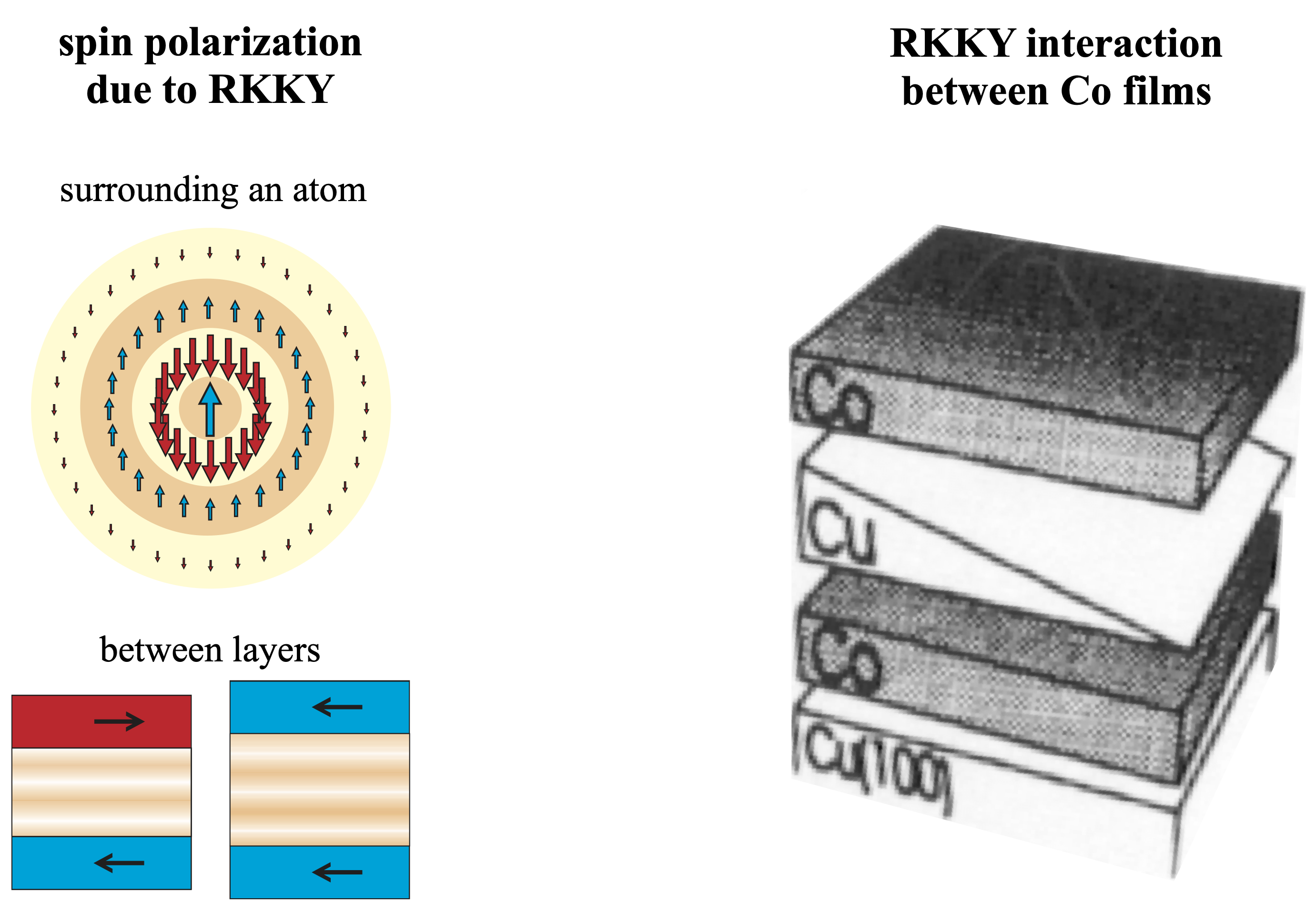 Left: Spin polarization of the conduction electrons around a localized magnetic impurity, showing the oscillating character of the RKKY interaction; illustration of the opposite RKKY coupling between magnetic layers that can be obtained by varying the thickness of the non-magnetic spacer. Right: Sketch of the sample in which oscillations of the RKKY between Co films were observed in agreement with {RKKY-7}. The thicknesses of the Co films was 13.2 ML and 15.8 ML, respectively.