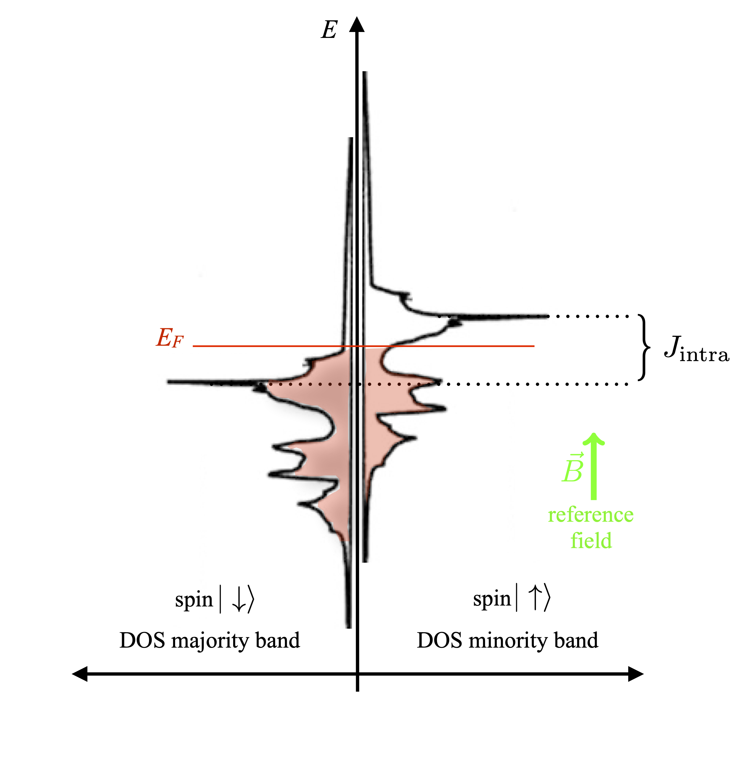 Pictorial representation of the Stoner-Wohlfarth-Slater model in terms of the density of states (DOS) of d electrons. The red-shadowed area indicates filled electron states below the Fermi energy, while empty states above Fermi energy are shown without shadowing. The spin states with the largest number of electrons are called "majority spins" and the corresponding band is the "majority band"; the term  "minority" is used for the other electron spins and band. The centers of the majority and minority d bands, assumed to be reasonably localized, are separated by the splitting produced by the intra-atomic exchange interaction. Since the labels "spin-up" and "spin-down" are only meaningful in conjunction with a quantization direction, an external field defines this quantization axis.