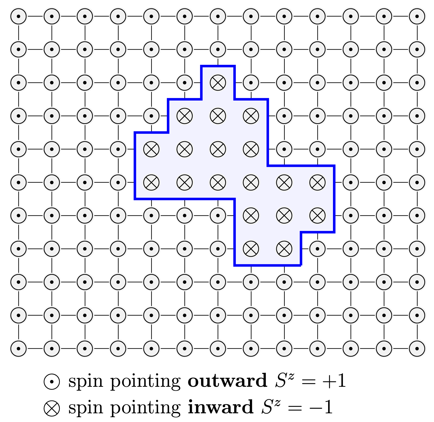 Schematic representation of a cluster of spins pointing along $S^z=-1$ (inward) in a 2D Ising lattice in which all the other spins point along $S^z=+1$ (outward). The perimeter of the cluster $l$ is highlighted with a blue thick line.