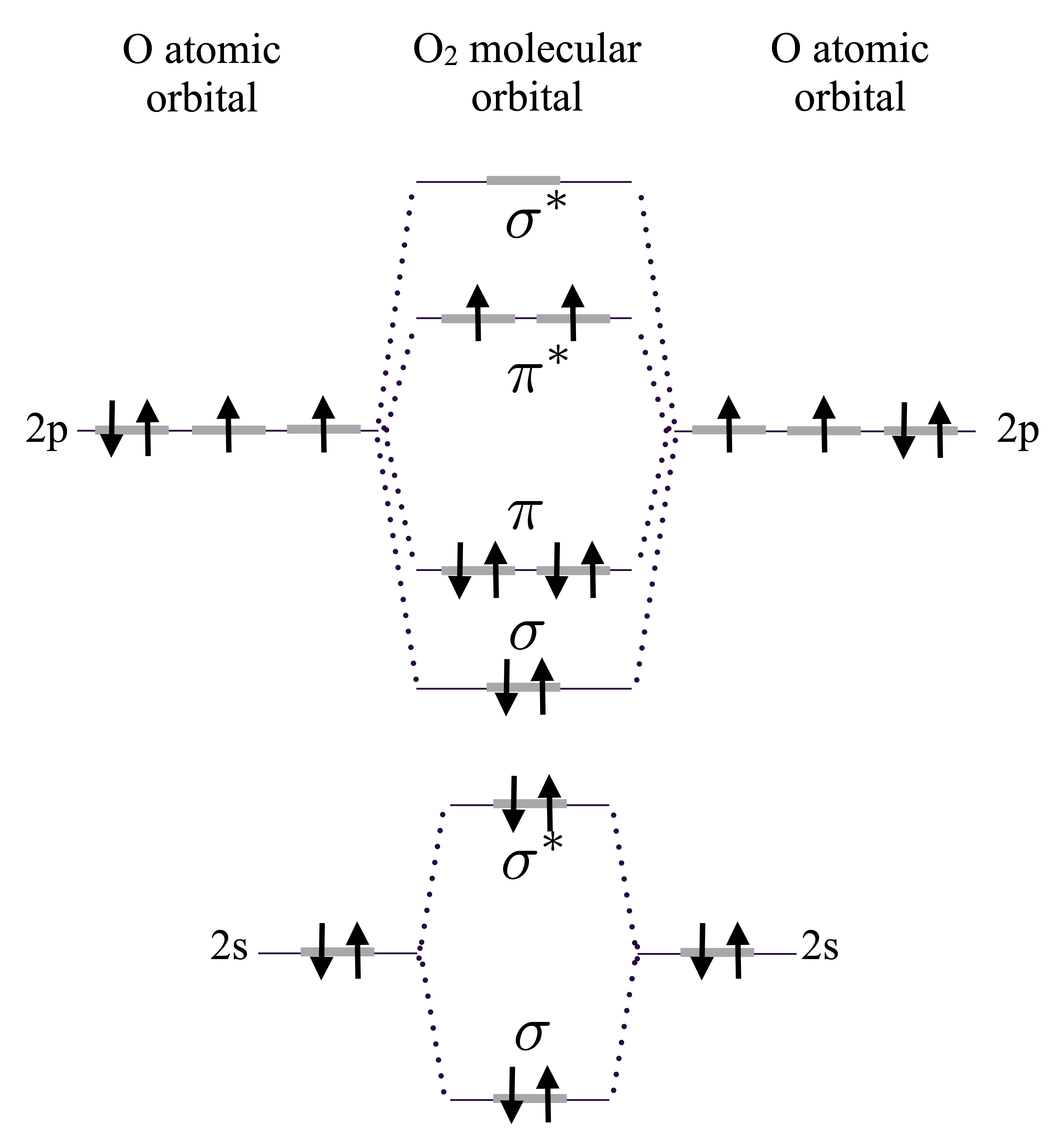 On the sides are sketched  diagram of levels for individual oxygens filled according to the Hund's rules. In the middle, the molecular-orbital levels for the O$_2$  molecule; this filling of levels realizes the lower energy and results in a net spin $S=1$. Energy increases from the bottom to the top. $\sigma$ and $\pi$ are bonding orbitals, while $\sigma^*$ and $\pi^*$ are antibonding orbitals.