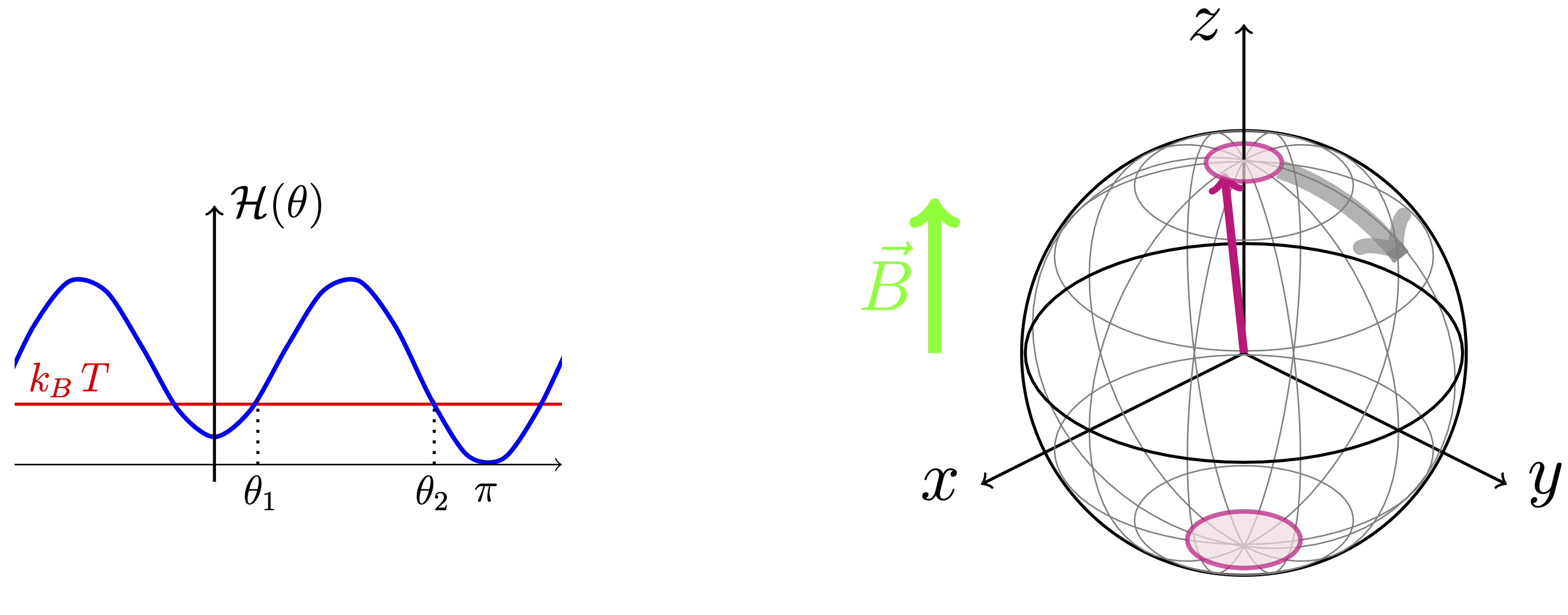 Left: Qualitative energy landscape of a superparamagnet, as a function of the polar angle $\theta$, for an external field applied along the easy axis. Note that only the bottoms of the wells, highlighted in the unit sphere on the right, are significantly populated in the high-energy barrier limit $k_B T \ll DS^2$.