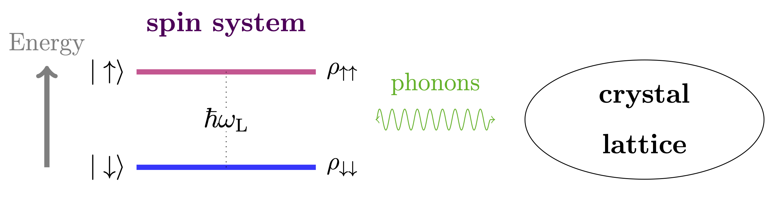 Scheme of the energy the spin states of an electron under the effect of a static $B$ field. The coupling with the reservoir determines the spin-lattice relaxation time and eventually thermalization of the spin system with the phonon bath.